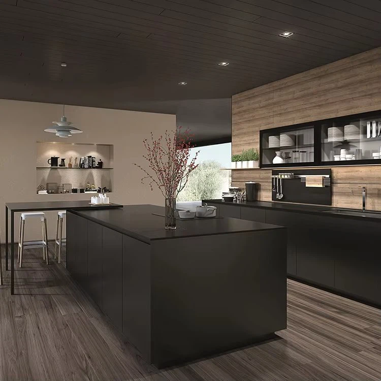 Modern Lacquer Kitchen Cabinets